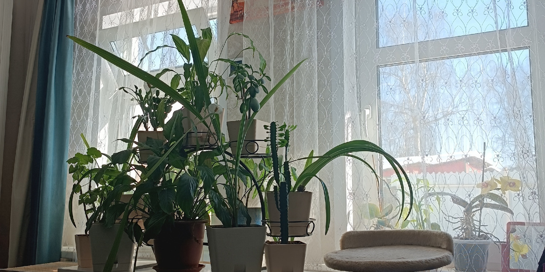 День сурка🤷😊