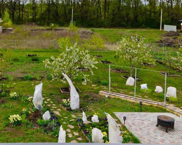 Мартовский чек-лист: спасаем растения от выпревания и солнечных ожогов