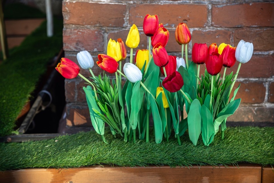   ИВАНОВА Диана