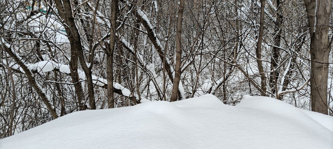 Отличница всегда и везде. Глава 6.