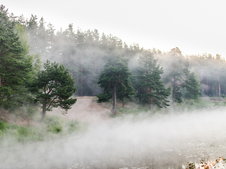   Максим Школьников