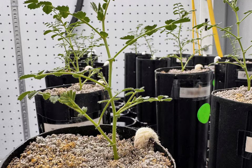     Фото: Jessica Atkin