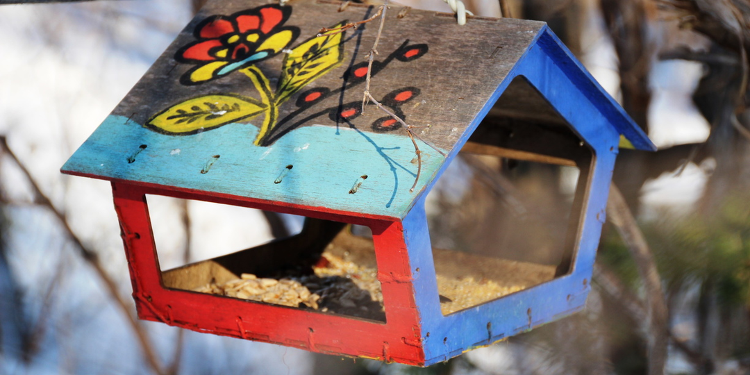 7 марта отмечается Маврикиев день: пора встречать перелетных птиц