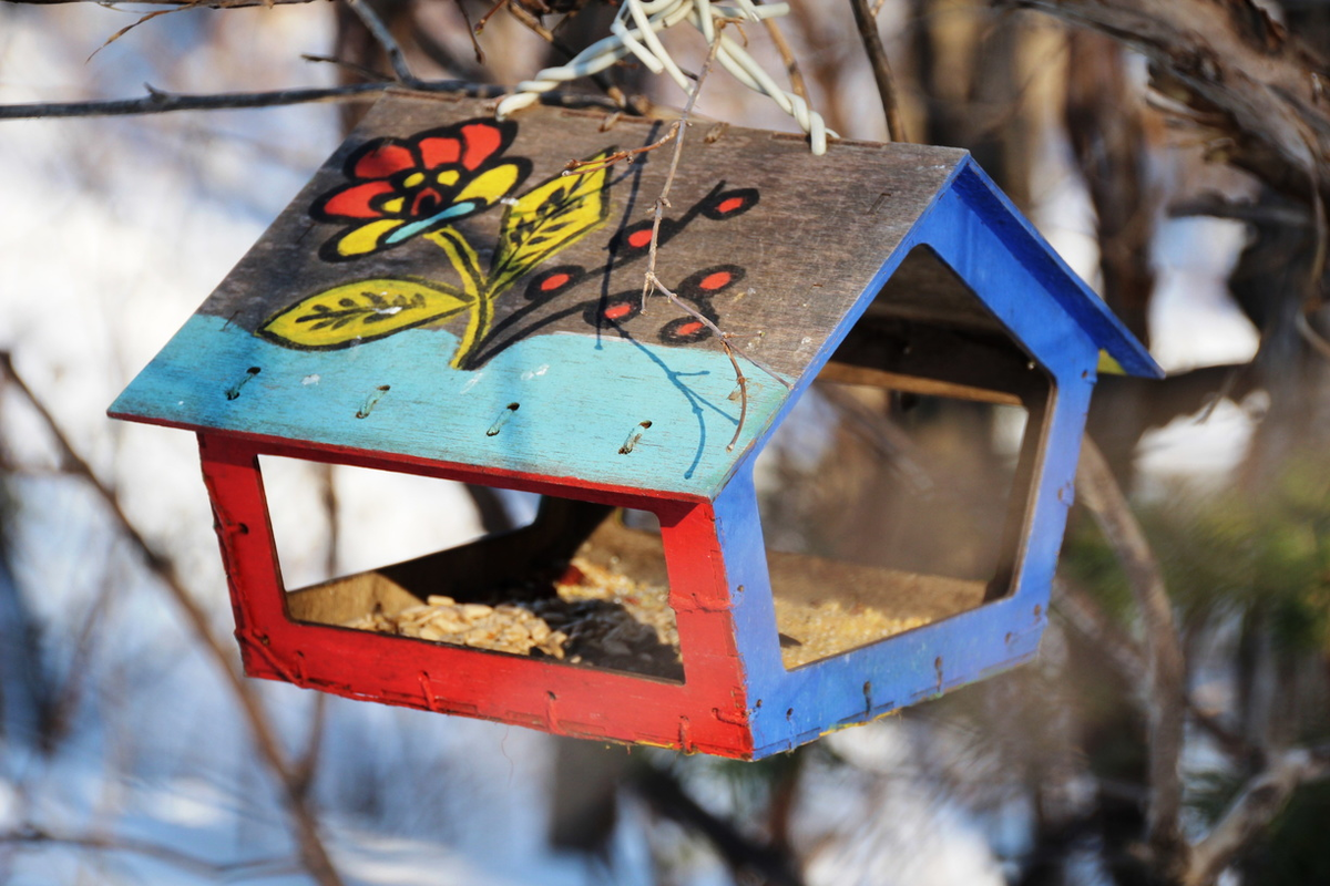 В Маврикиев день наши предки ждали появления первых перелетных птиц. Фото: 1MI
