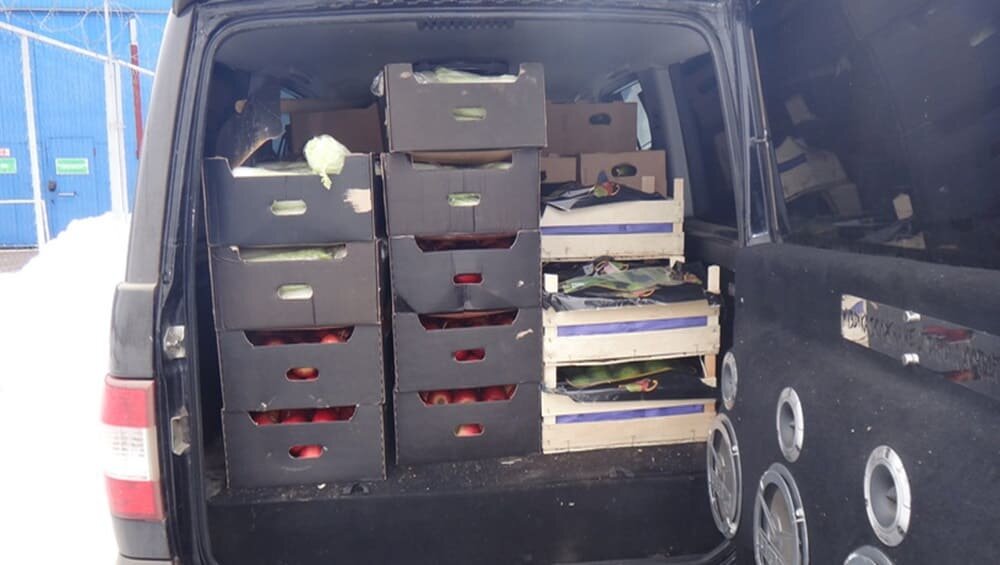    Фото: Россельхознадзор