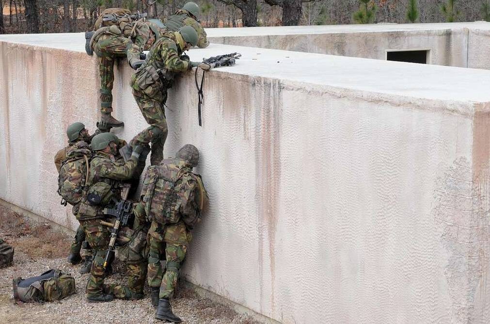     Королевская нидерландская армия, 11-я аэромобильная бригада   
(CC0) Defense Visual Information Distribution Service