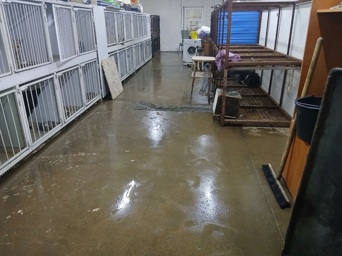 Работы в вет.блоке продолжаются. Так помещение выглядит сеголня