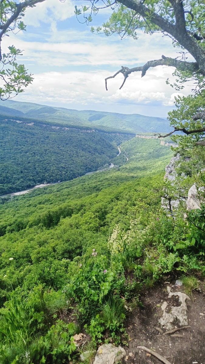 Вид с канатной дороги 