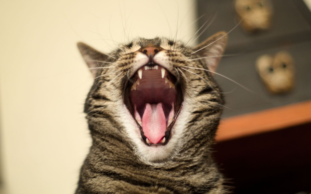  Стресс может быть хроническим, либо временным – тревожным состоянием. Фото: envato elements.