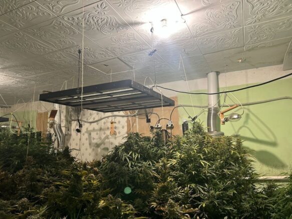    Фото: t.me/mvd_23