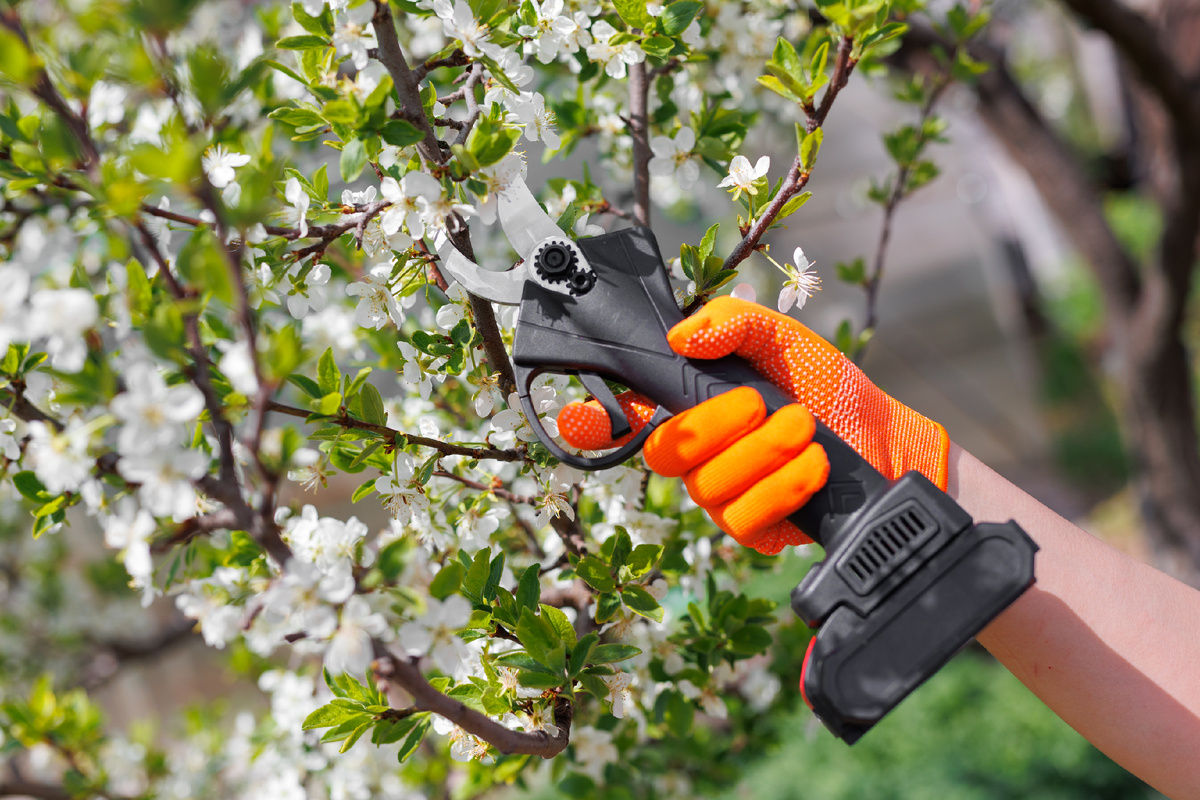 Фото: GettyImages.