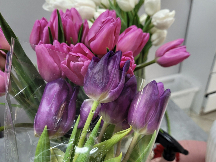     Фото: Сиб.фм