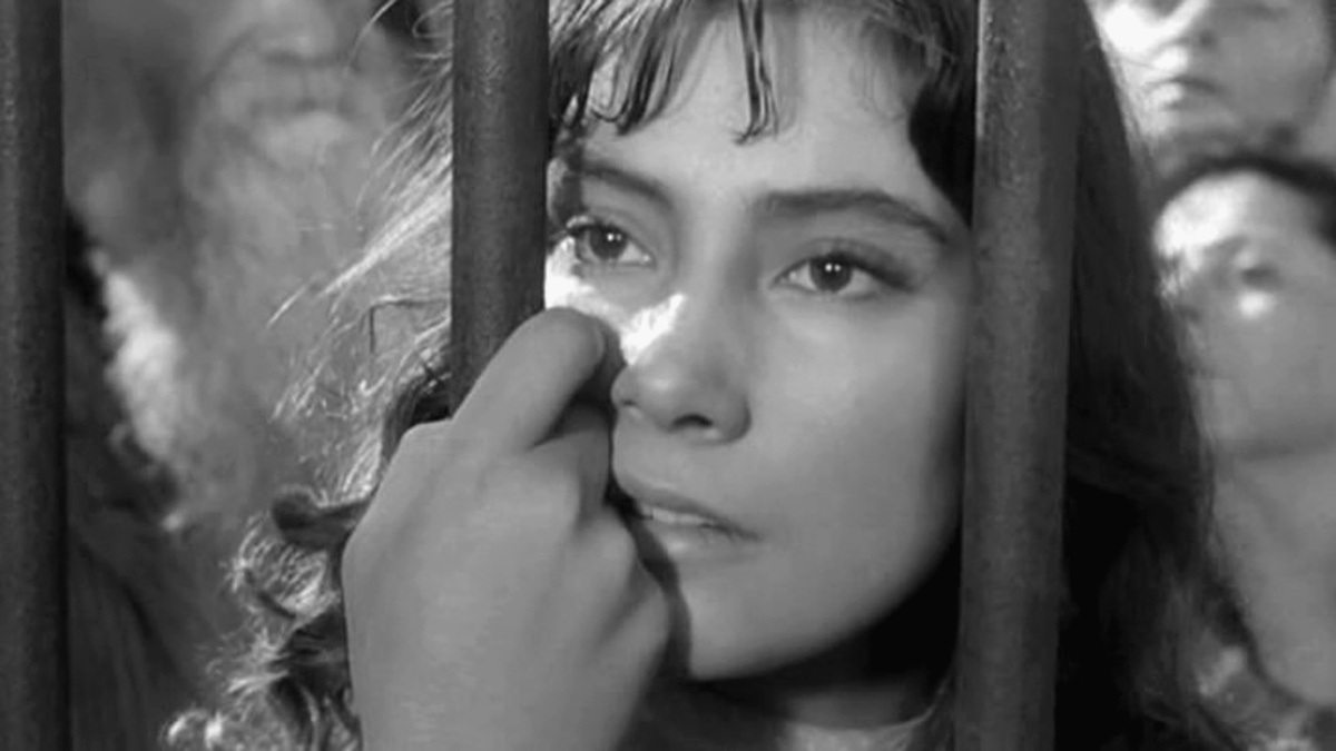 Татьяна Самойлова. Фото: «5-tv.ru»