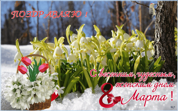 Весна, Ваша Весна!