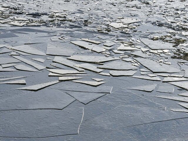    Фото: портал мэра и правительства Москвы/Юлия Иванко