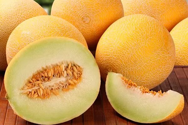 Дыня Золушка: нежность вкуса и рекордная быстрота