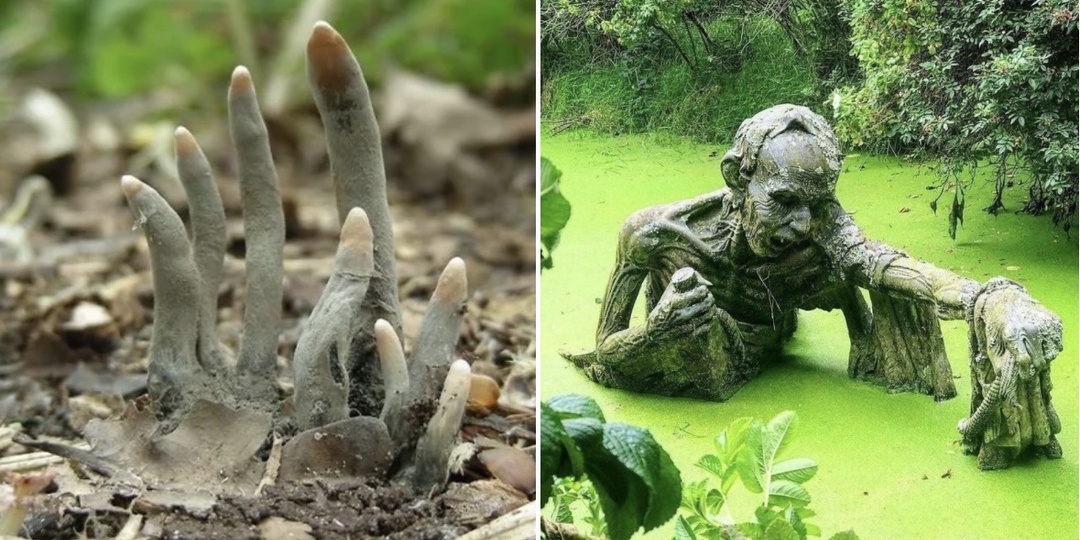 17 жутких фотографий от которых становится страшно