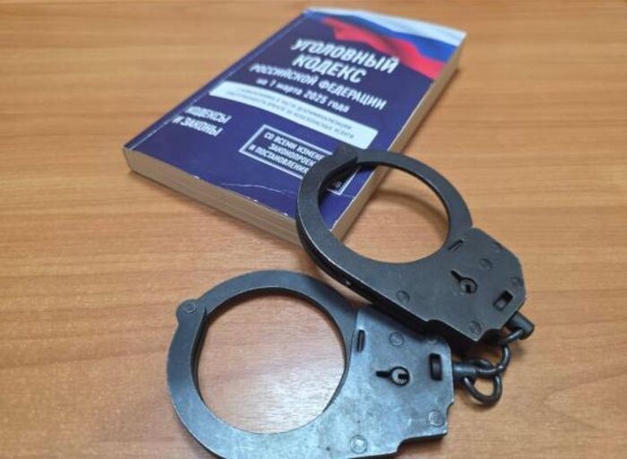 Иллюстрация: Пресс-служба МВД