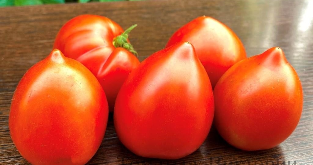 Новое томатное сердце для моих подписчиц. С праздником!