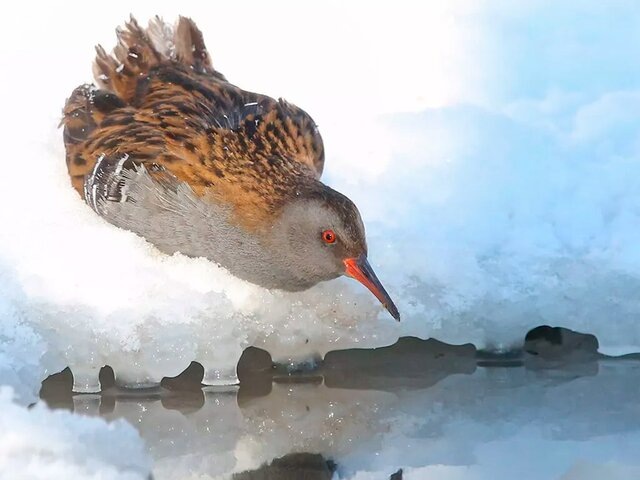    Фото: портал мэра и правительства Москвы