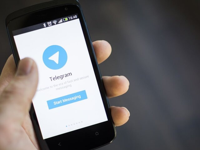    Фото: depositphotos/Mactrunk