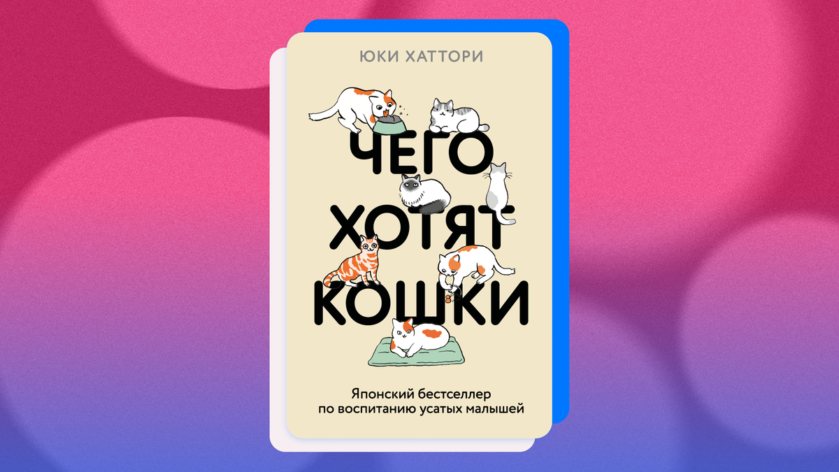 Юки Хаттори «Чего хотят кошки». © Издательство «Эксмо», 2025