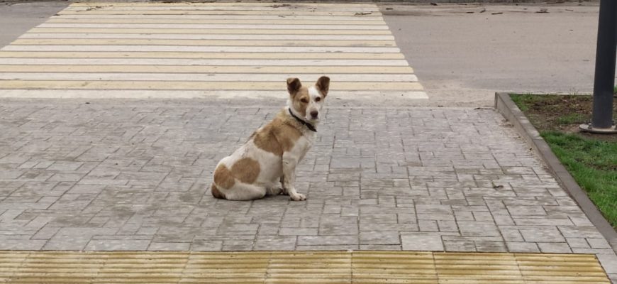    Фото из архива "РВ" Василий Шеин