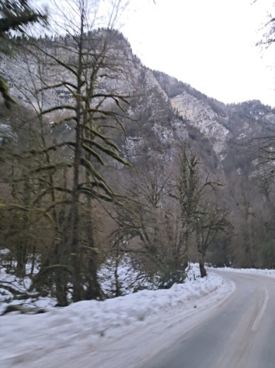 Дорога на озеро Рица. Февраль 2025 г. Фото автора