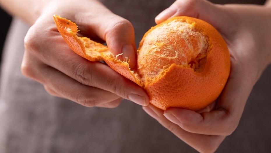    Автор фото: Nungning20 / Shutterstock / FOTODOM