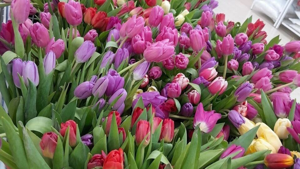   Ирина Вайтукова / udm-info.ru