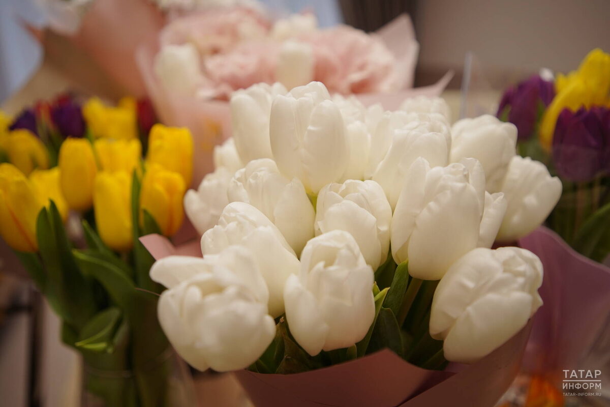 Фото: © Владимир Васильев / «Татар-информ»