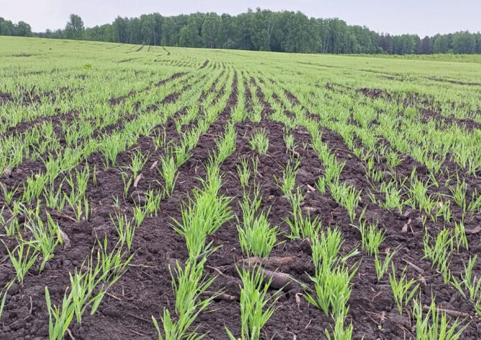    Сайт правительства Пермского края