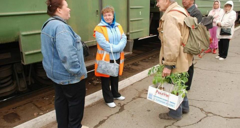    Фото: Соцзащита города Усолье-Сибирское