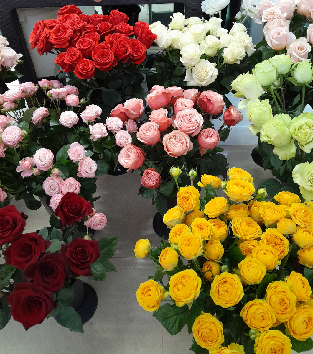 Каждой из вас - море цветов!