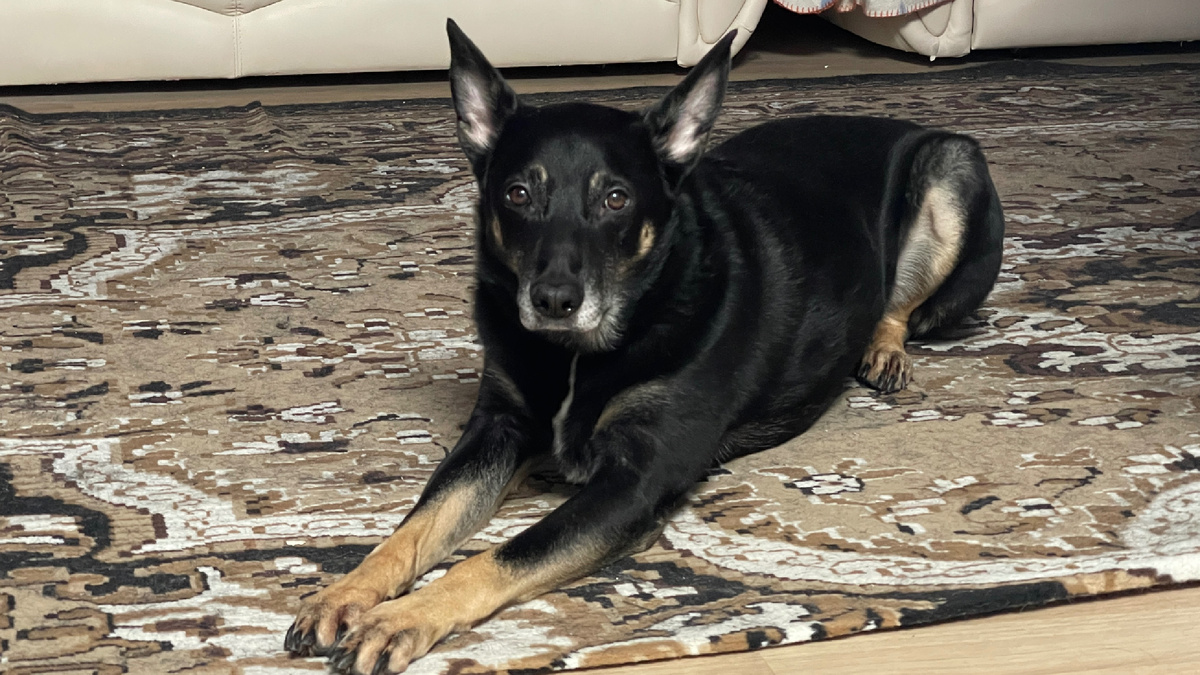 Итак, думаю, я вас так удивлю, что вы даже не поверите в некоторые вещи 😂!