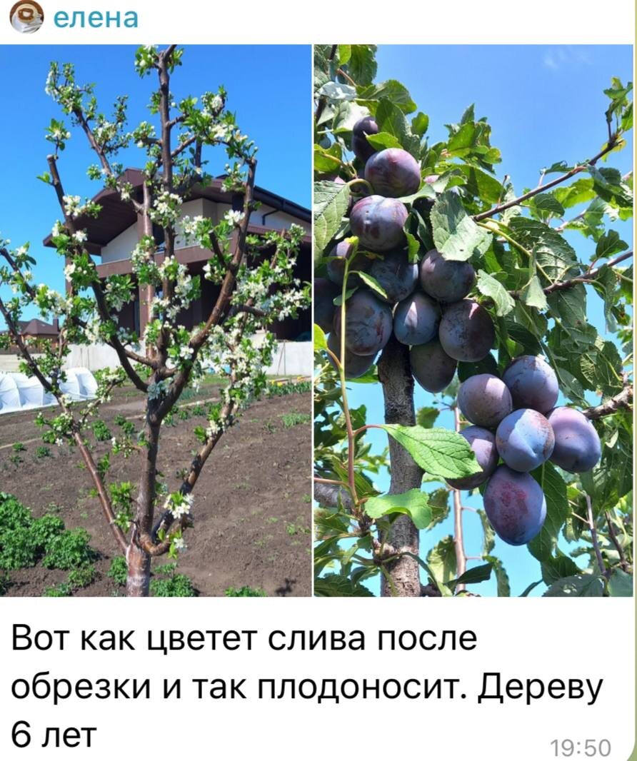 отзыв нашей ученицы