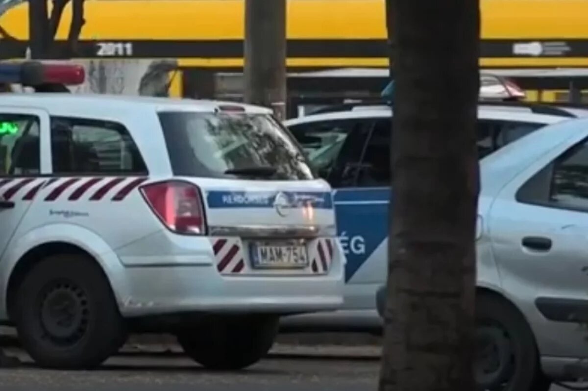    Венгрия вышлет граждан Украины, задержанных при перевозке валюты и золота