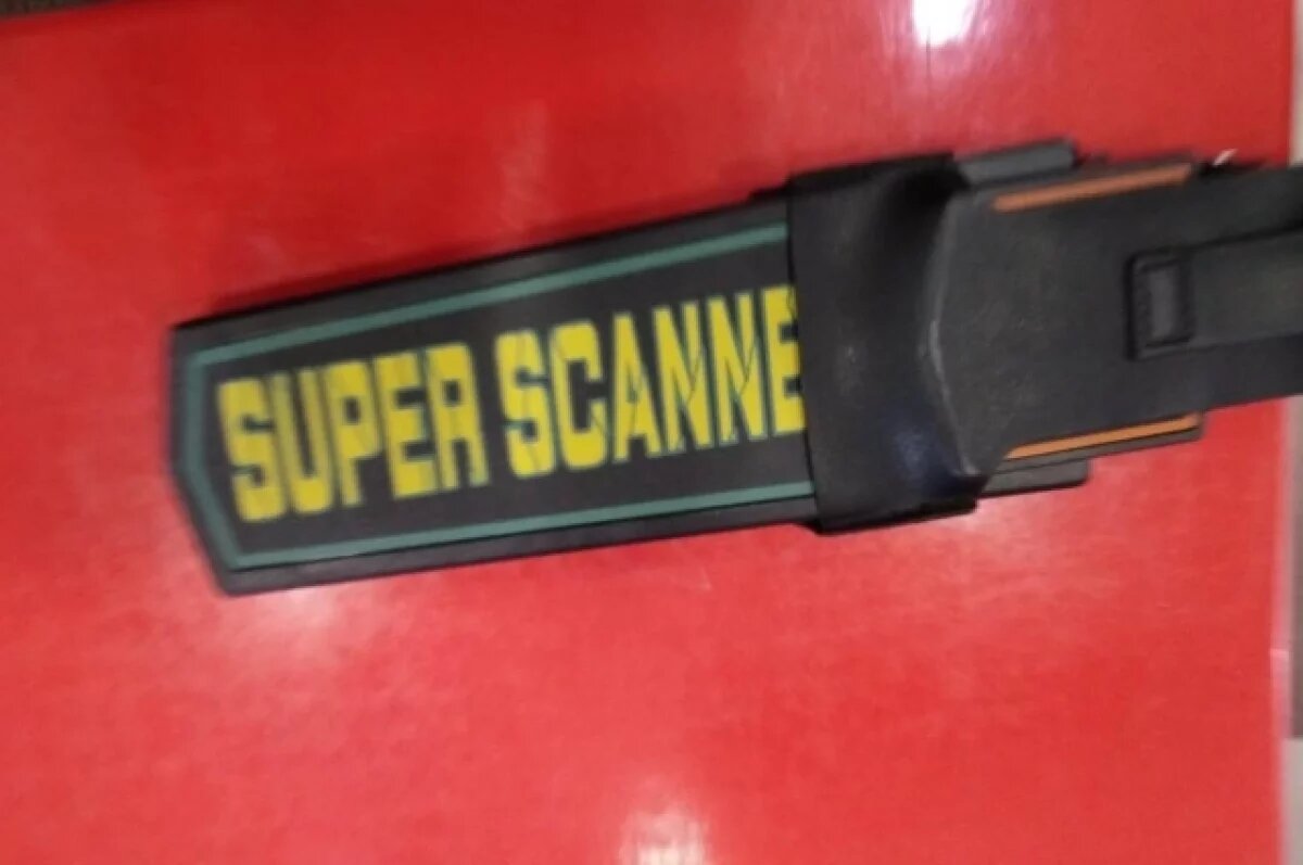    В школах Перми ужесточат входной контроль с использованием металлоискателей