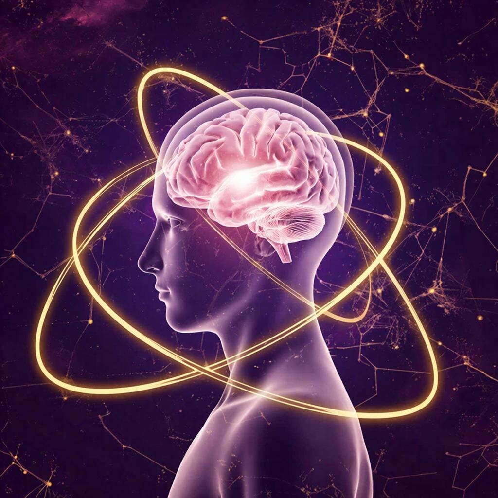 Кинезиология