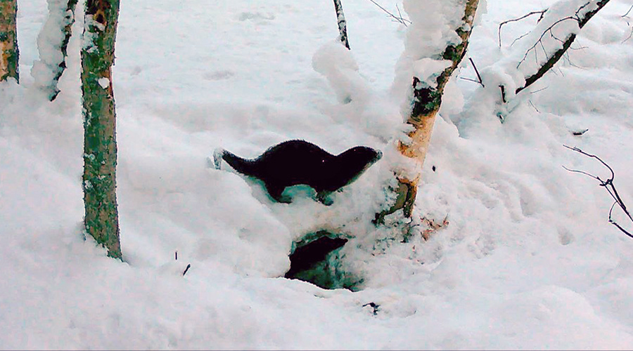    © t.me/kazdoytvaripopare