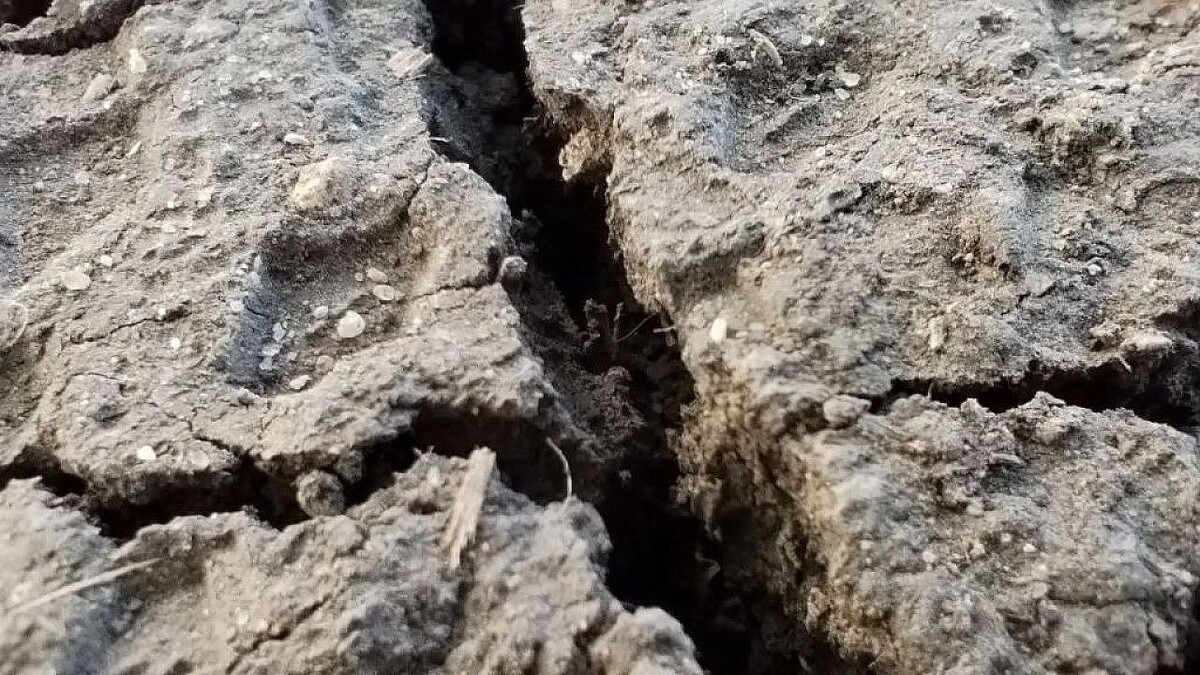    Фото: телеканал «Краснодар»