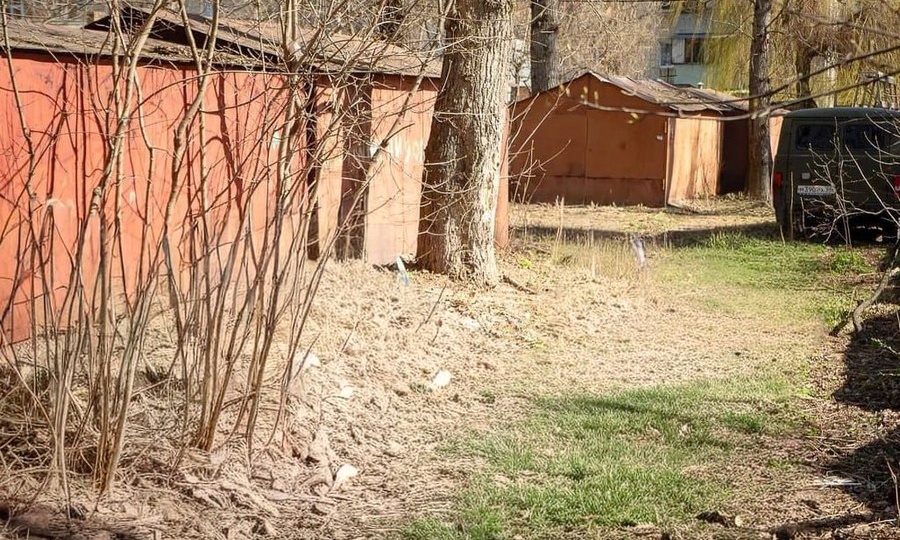 В Курске снесут самовольно установленные гаражи