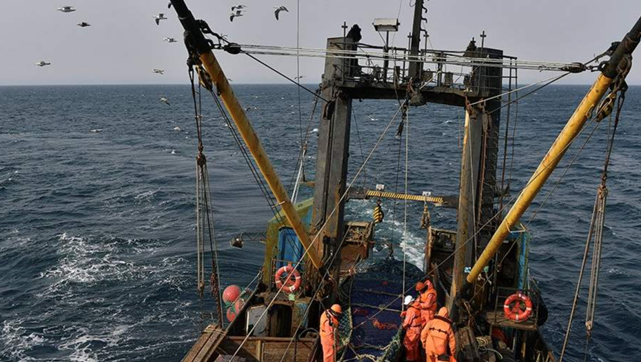    Автор фото: ТАСС/Юрий Смитюк