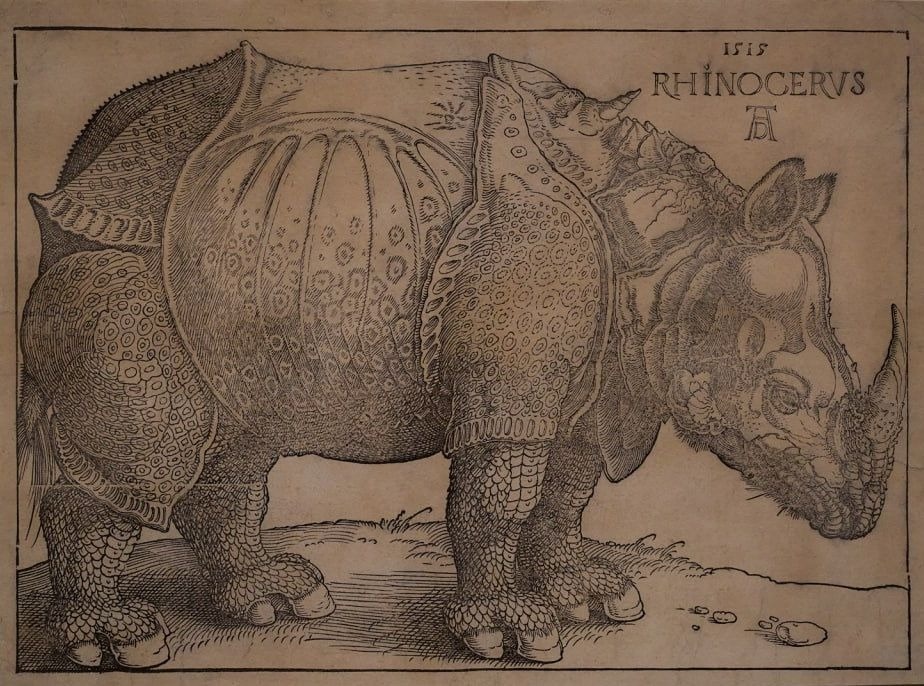 Альбрехт Дюрер. «Носорог», 1515 год, Государственный музей изобразительных искусств имени Александра Пушкина, Москва © Public domain
