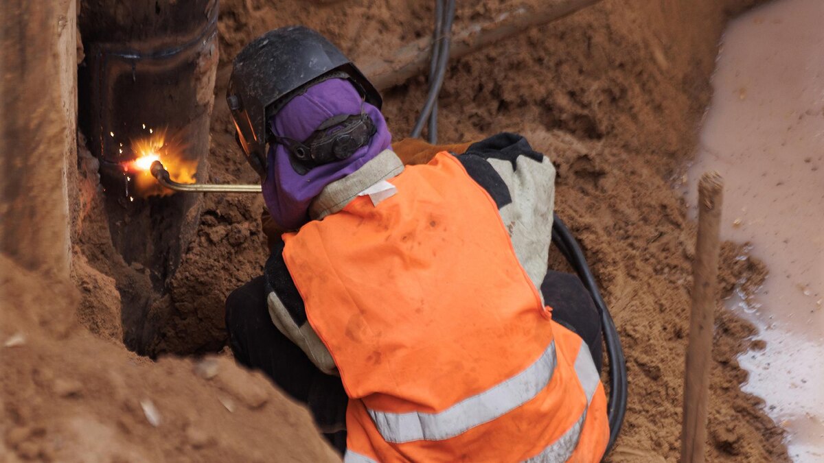    Фото: Sergey Elagin/globallookpress.com