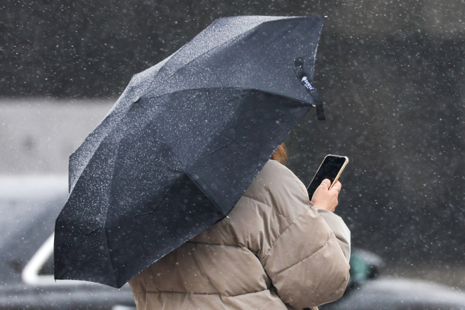    Наталья Шатохина/NEWS.ru