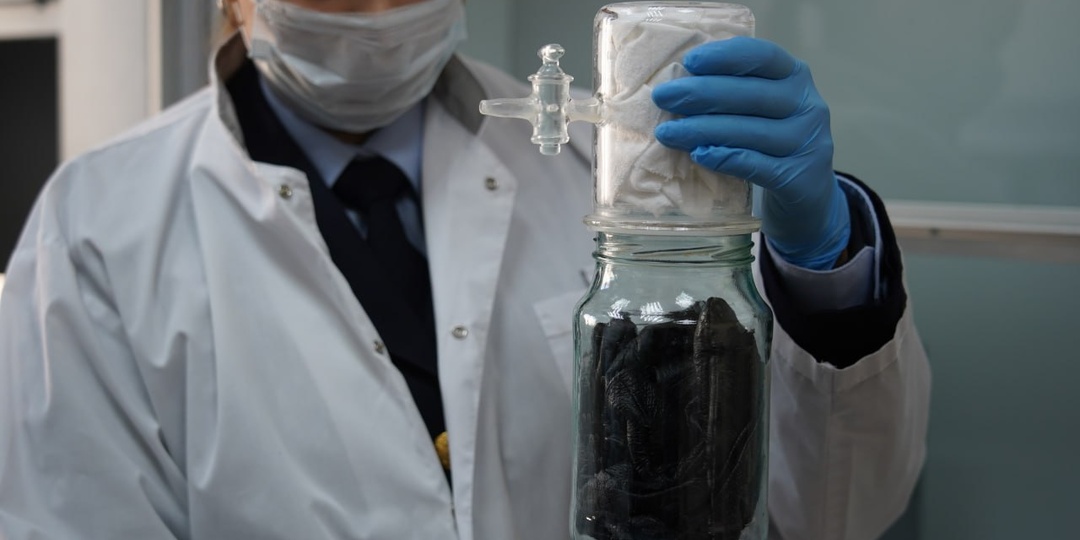 🐕 Нюх, как у собаки: как работают красноярские эксперты-криминалисты и их четырехлапые искатели запахов