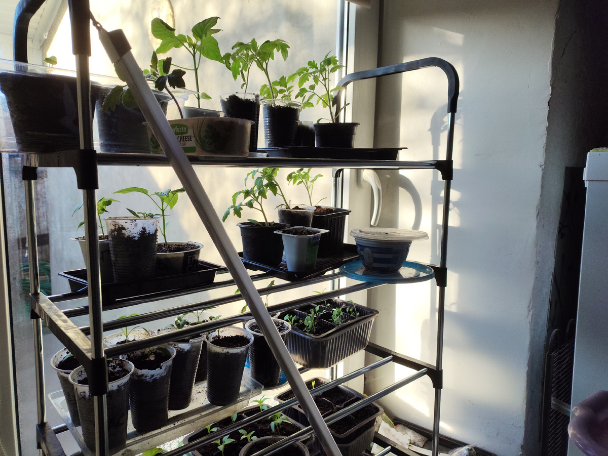 Солнце уже с утра мне в окошко светит.