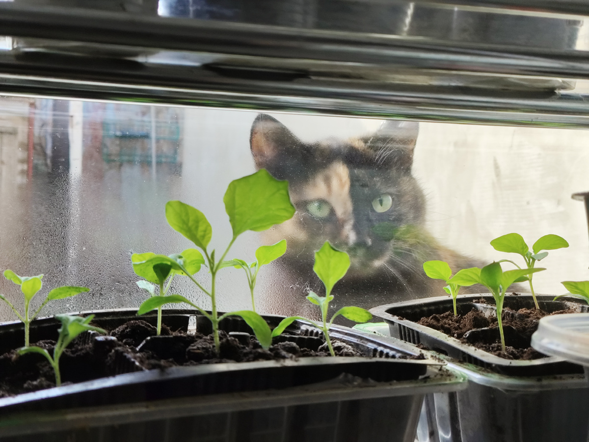 Ух и глазищи!