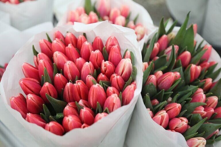   Артур Новосильцев/Агентство «Москва»